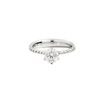 Anello Recarlo Donna Anniversary Six Line in Oro bianco Diamante 0.394 Ct R01SP014/039-13 - R01SP014/039-13